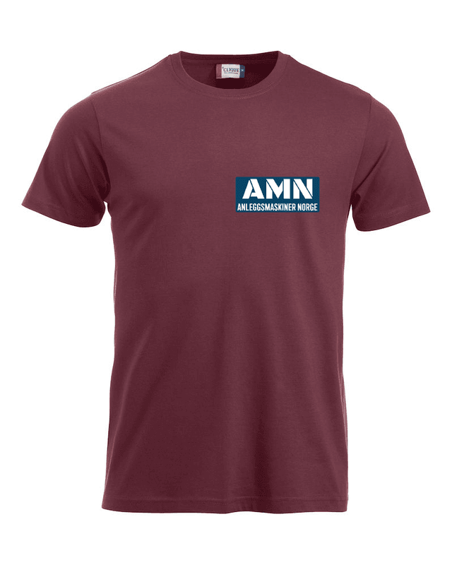 AMN t-shirt, liten