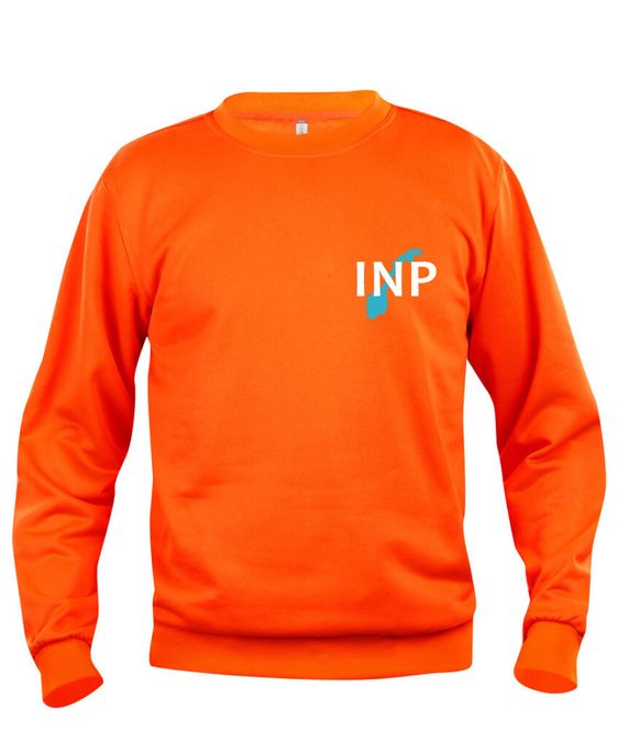 Hovedbilde INP genser